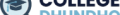 websitelogo